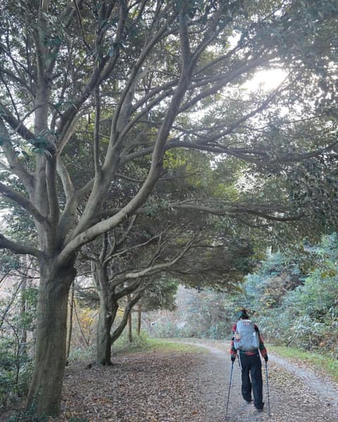 해남달마고도 사진 5