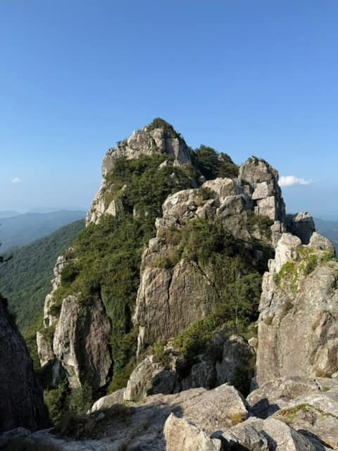 해남달마고도 사진 8