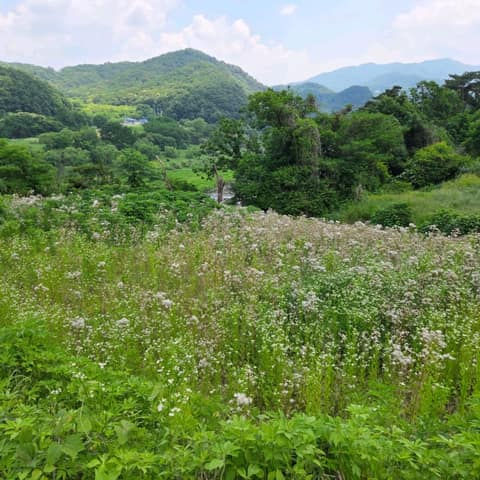 경기둘레길연천12코스 사진 4