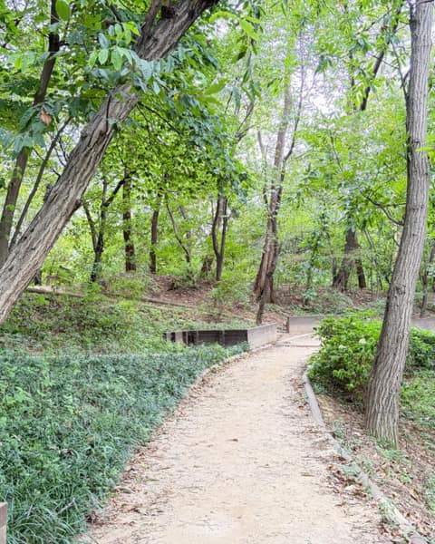 우면산둘레길 사진 6