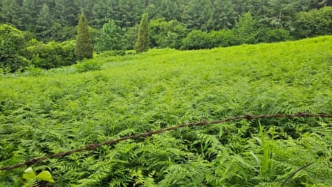 전북천리길지리산둘레길2코스 사진 1