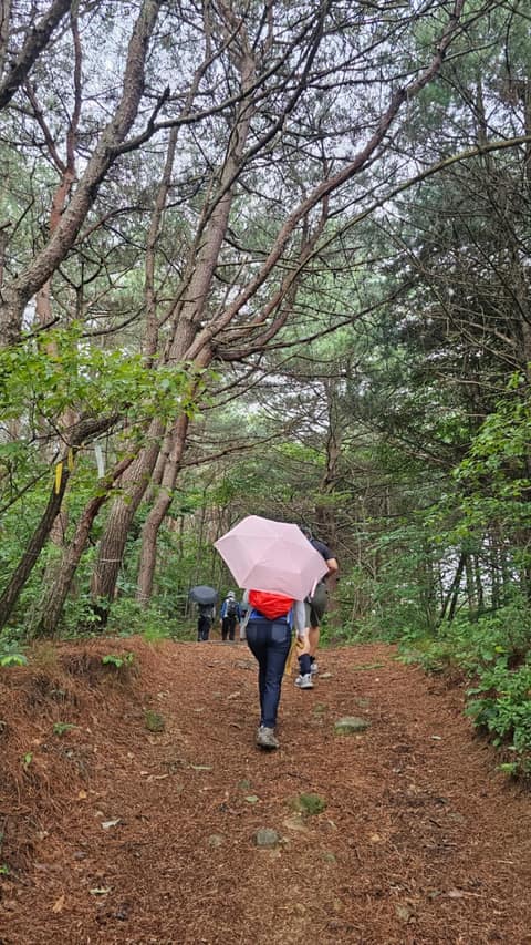 전북천리길지리산둘레길2코스 사진 2