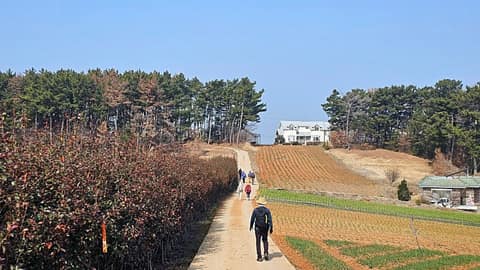 서해랑길66코스 사진 1