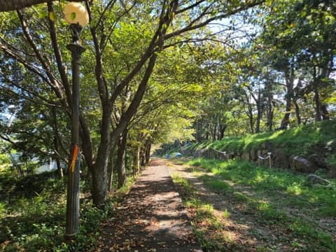 서해랑길39코스 사진 1