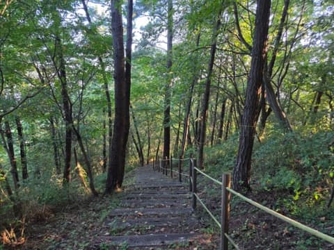 서해랑길39코스 사진 6