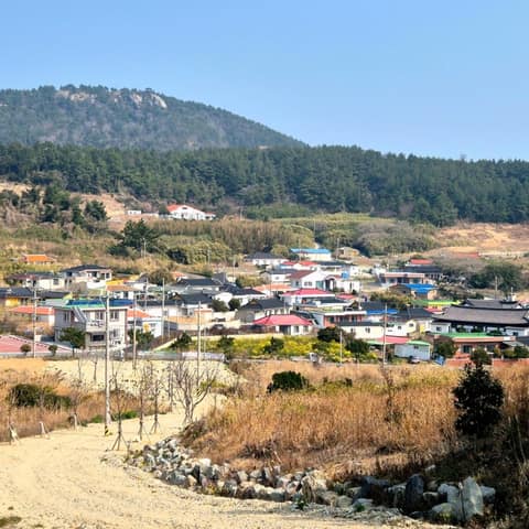 제주올레길18-2코스 사진 9