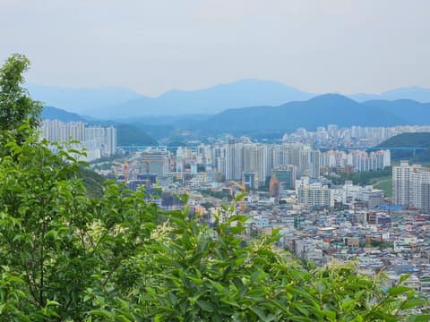 울산솔마루길삼호산코스 사진 3