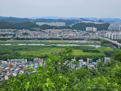울산솔마루길삼호산코스 사진 5