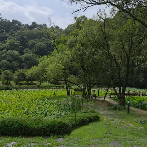 수타사산소길 사진 2
