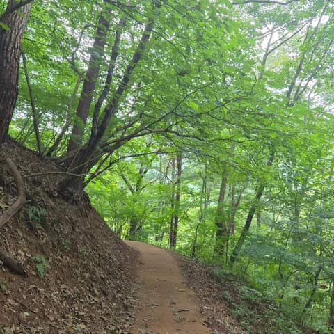 수타사산소길 사진 6