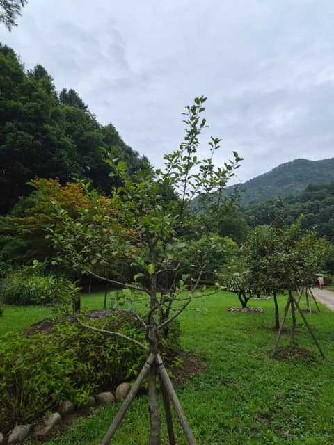 수타사산소길 사진 9