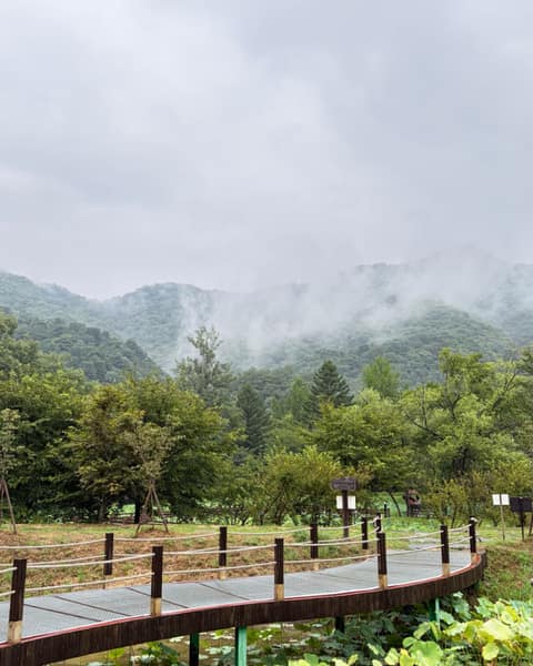 수타사산소길 사진 10