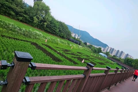 백운호수둘레길 사진 7