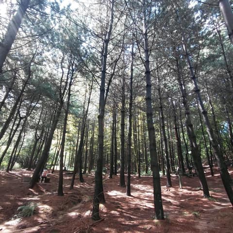 서울둘레길12코스(호암산) 사진 1