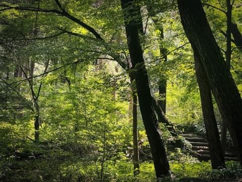 서울둘레길12코스(호암산) 사진 3