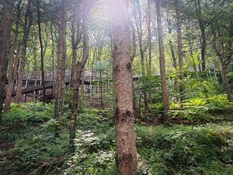 서울둘레길12코스(호암산) 사진 4