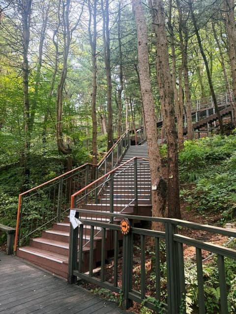 서울둘레길12코스(호암산) 사진 5