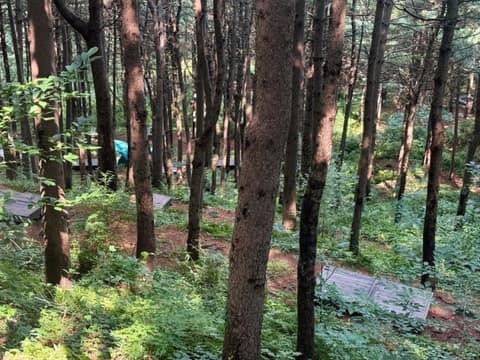 서울둘레길12코스(호암산) 사진 6