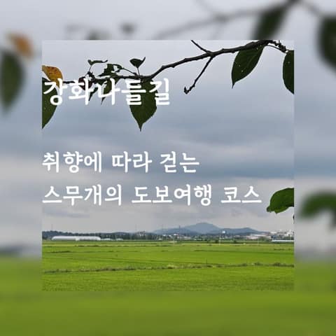 강화나들길8코스(철새보러가는길) 사진 8