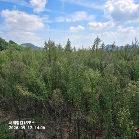 서해랑길15코스 사진 1