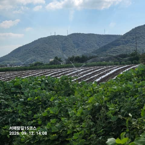 서해랑길15코스 사진 4
