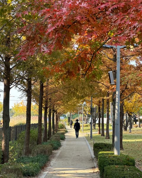 마포걷고싶은길1코스(경의선숲길) 사진 8