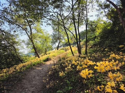 변산마실길2코스(노루목상사화길) 사진 1