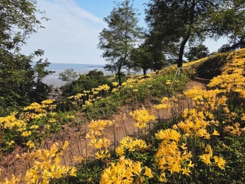 변산마실길2코스(노루목상사화길) 사진 2