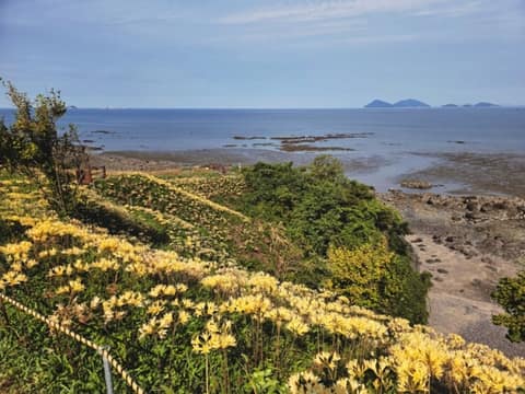 변산마실길2코스(노루목상사화길) 사진 3