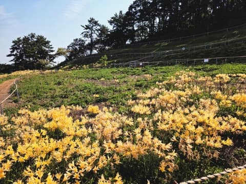 변산마실길2코스(노루목상사화길) 사진 8