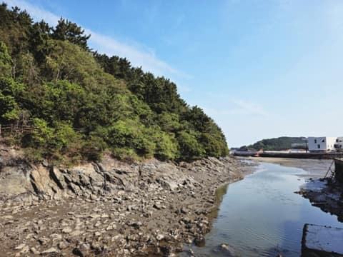 변산마실길2코스(노루목상사화길) 사진 9