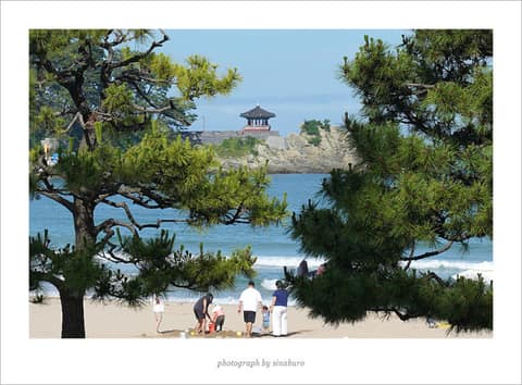 해운대그린레일웨이 사진 4