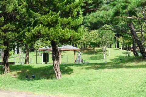대전둘레산길5구간 사진 1