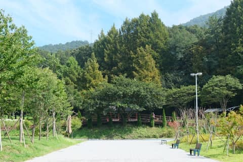 대전둘레산길5구간 사진 2