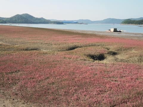 서해랑길26코스 사진 10