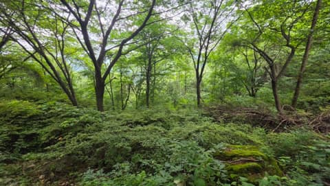 경기둘레길가평22코스 사진 2