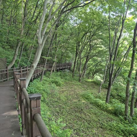 월류봉둘레길(산새소리길) 사진 2