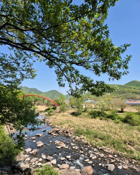 월류봉둘레길(산새소리길) 사진 5
