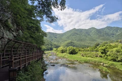 월류봉둘레길(산새소리길) 사진 9