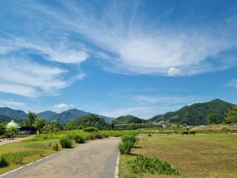 한탄강주상절리길3코스(벼룻길) 사진 4