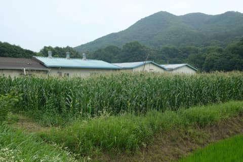 경기옛길평해길8길(고래산길) 사진 5