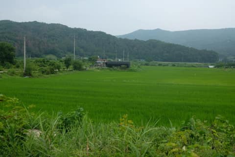 경기옛길평해길8길(고래산길) 사진 9