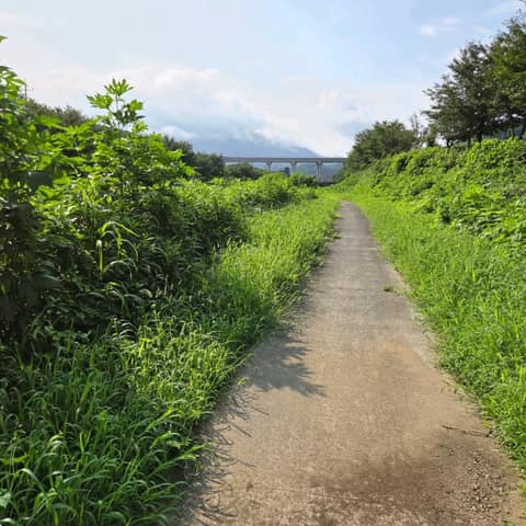 경기둘레길가평25코스 사진 2