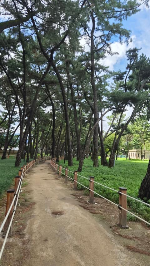 밀양아리랑길1코스 사진 1
