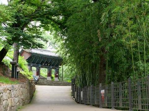 밀양아리랑길1코스 사진 5