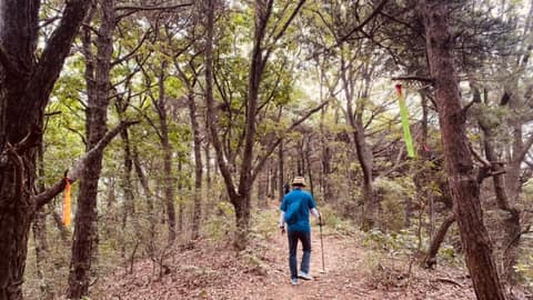 서해랑길98코스 사진 3