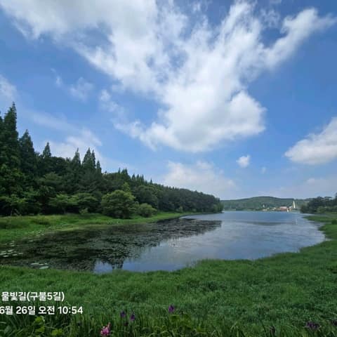 전북천리길구불5길 사진 4