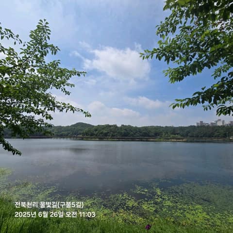 전북천리길구불5길 사진 9