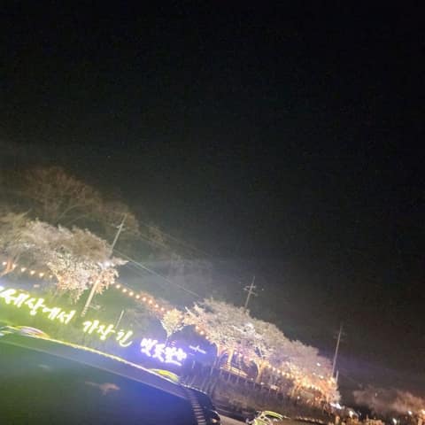 대청호오백리길21구간(대청로하스길) 사진 10