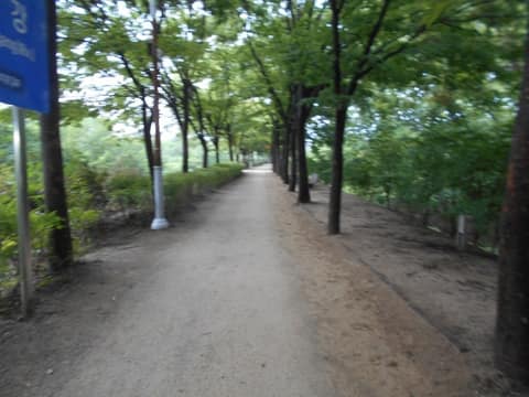 하남위례길2코스(위례강변길우회) 사진 4